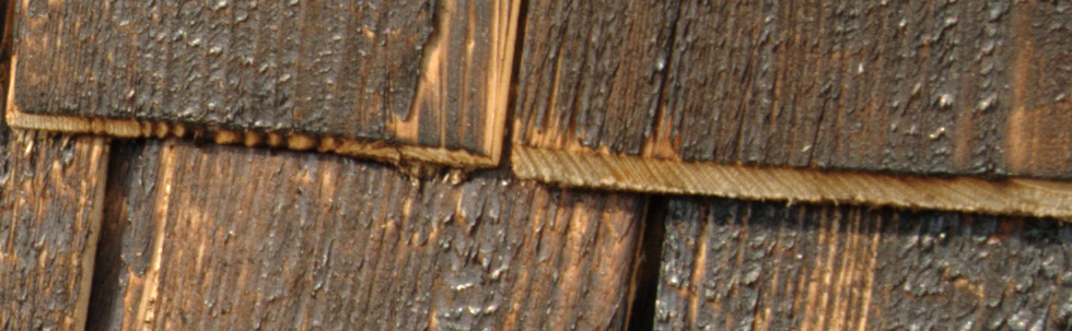 Shingle — Hardened pine 1