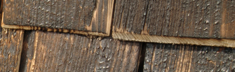 Hardened pine samples