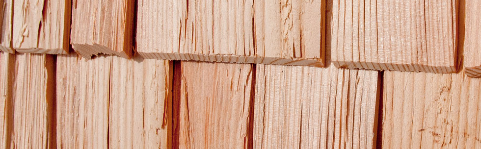 Shingle — Larch 1