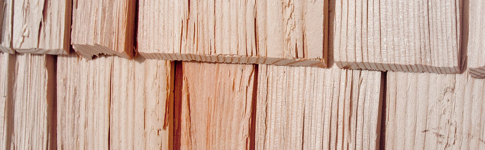 Shingle — Larch 2