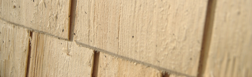 Shingle — Pine 1