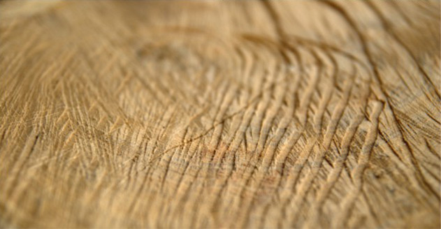 Natural timber surface