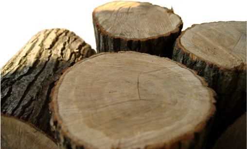 Timber material detail